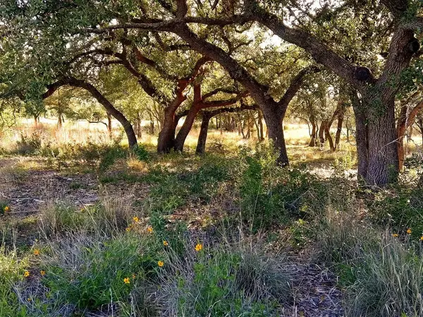 0 Whiskey TRL, Blanco, TX 78606