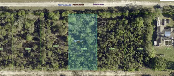 1013 PORTULACA DR, Indian Lake Estates, FL 33855