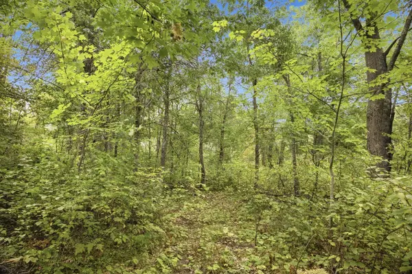 Lot 2 Little McGraw Lake Rd, Danbury, WI 54830