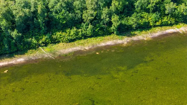 Lot 8 Park Preserve TRL NE, Bemidji, MN 56601
