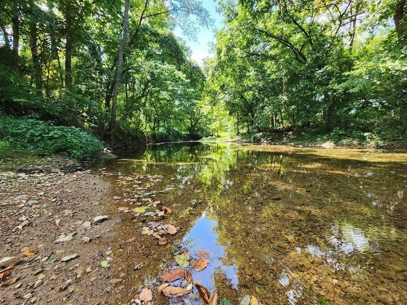 0 Taurus Farm Rd, Lafayette, TN 37083