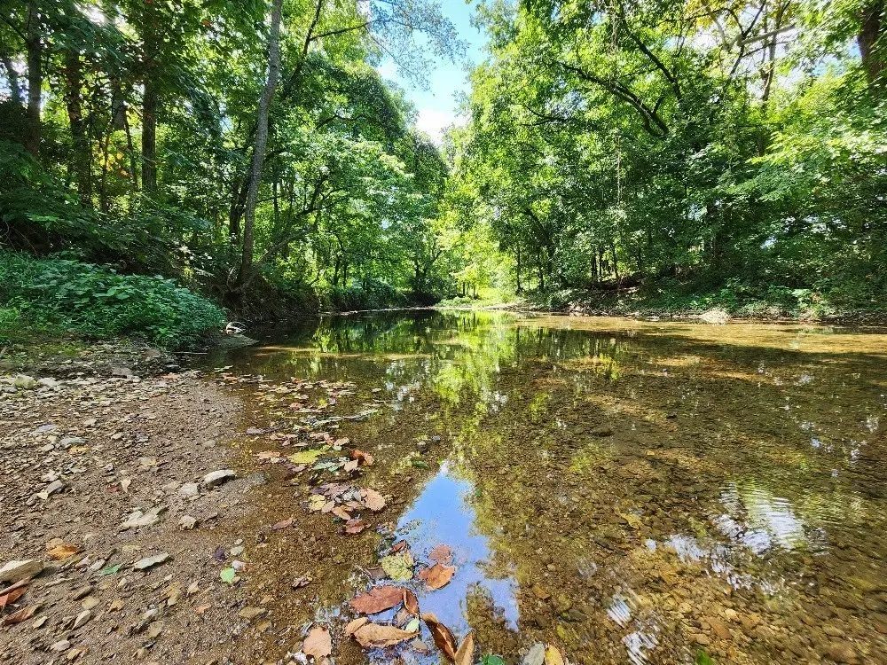 0 Taurus Farm Rd, Lafayette, TN 37083