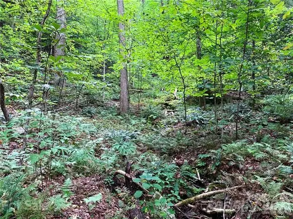 000 Peppervine CIR, Rosman, NC 28772