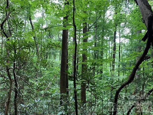 000 Peppervine CIR, Rosman, NC 28772