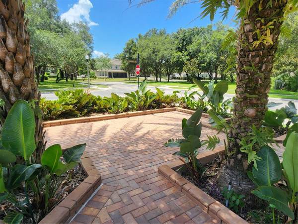 2461 WOODBARK ST, Apopka, FL 32712