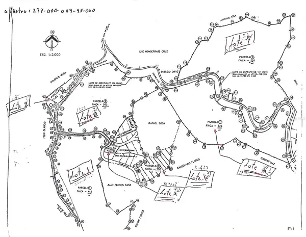 87.29 cuerdas Bo.Quemados CARR 7788 KM HM 2.2, San Lorenzo, PR 00754