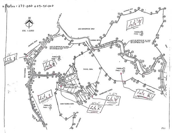 87.29 cuerdas Bo.Quemados CARR 7788 KM HM 2.2, San Lorenzo, PR 00754