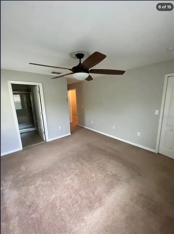 8523 BRUSHLEAF WAY, Tampa, FL 33647