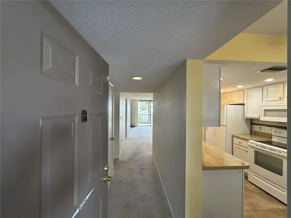 1316 PASADENA AVE S #202, South Pasadena, FL 33707