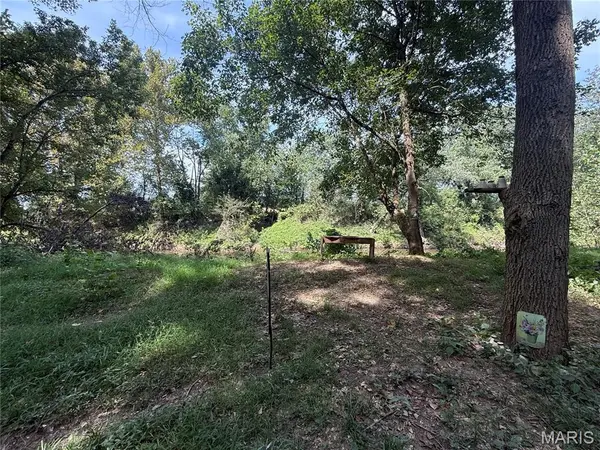 0 Rivertrail RD, New Florence, MO 63363