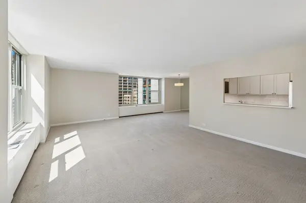 1325 N State Pkwy #13B, Chicago, IL 60610