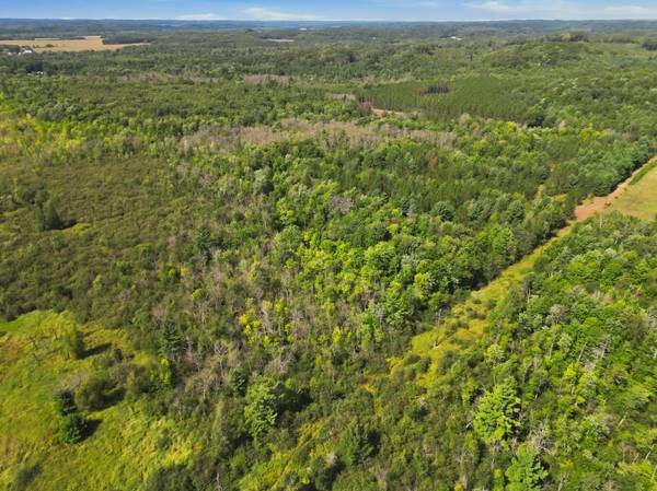 E5626 1170th AVE, Wheeler, WI 54772