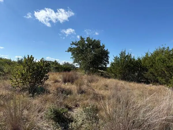 297 E Rolling Oaks Drive, Goldthwaite, TX 76844