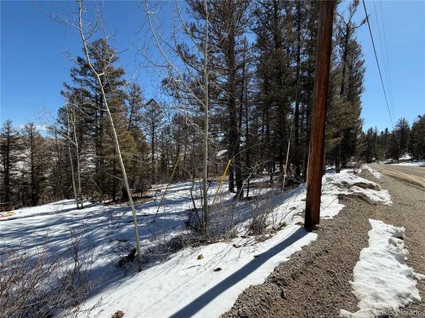 806 Middle Fork, Fairplay, CO 80440