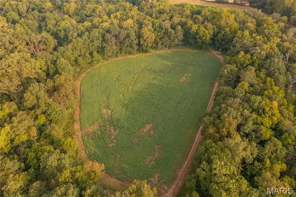 00 Abbott RD, Bellflower, MO 63333