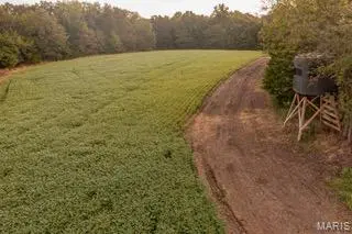 00 Abbott RD, Bellflower, MO 63333