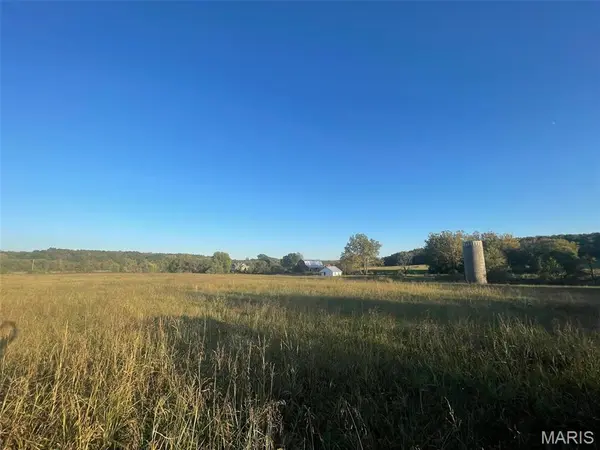 0 10.189 Acres off Madison 534, Fredericktown, MO 63645
