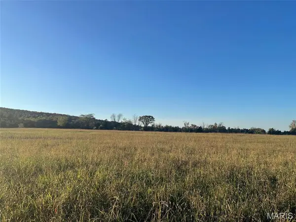 0 10.189 Acres off Madison 534, Fredericktown, MO 63645