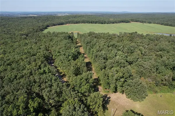 Off County Road 219, Fredericktown, MO 63645