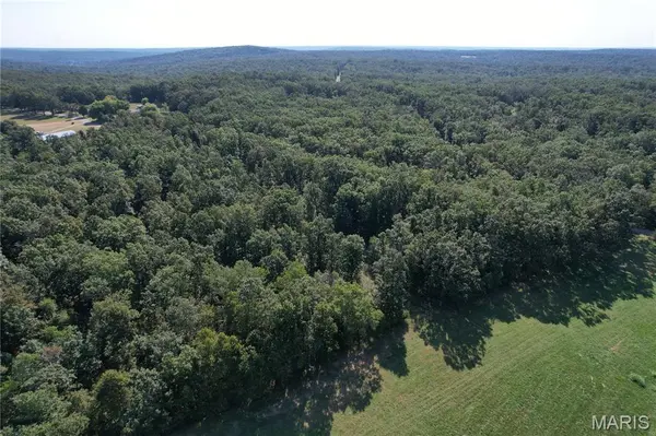 Off County Road 219, Fredericktown, MO 63645