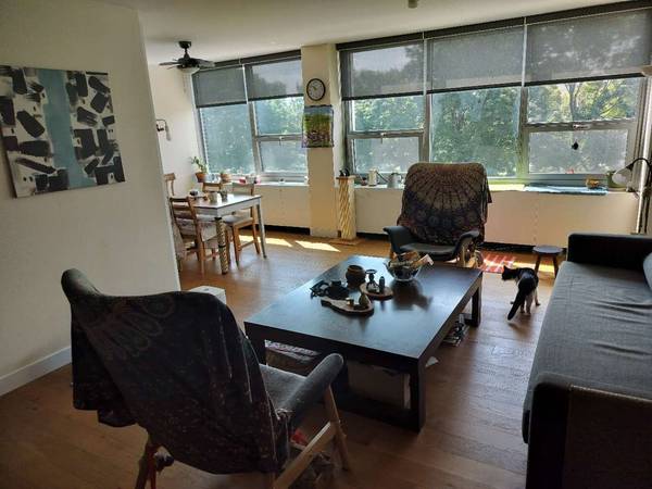 1700 E 56th ST #409, Chicago, IL 60637