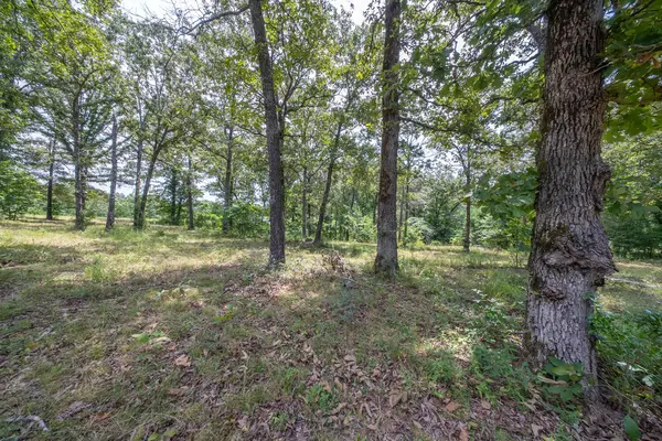 32312 U.S. Highway 160, Alton, MO 65606