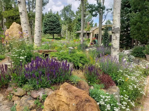 509 Norton, Black Hawk, CO 80422