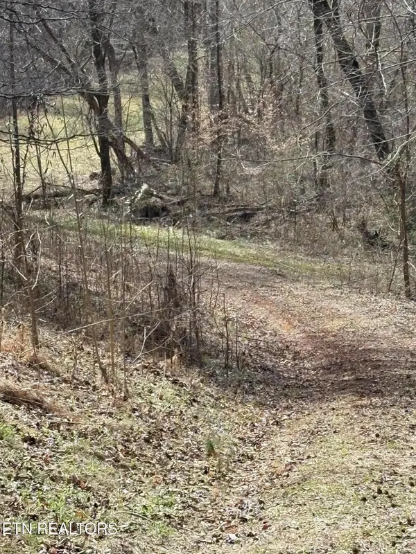 809 State Highway 310, Englewood, TN 37329