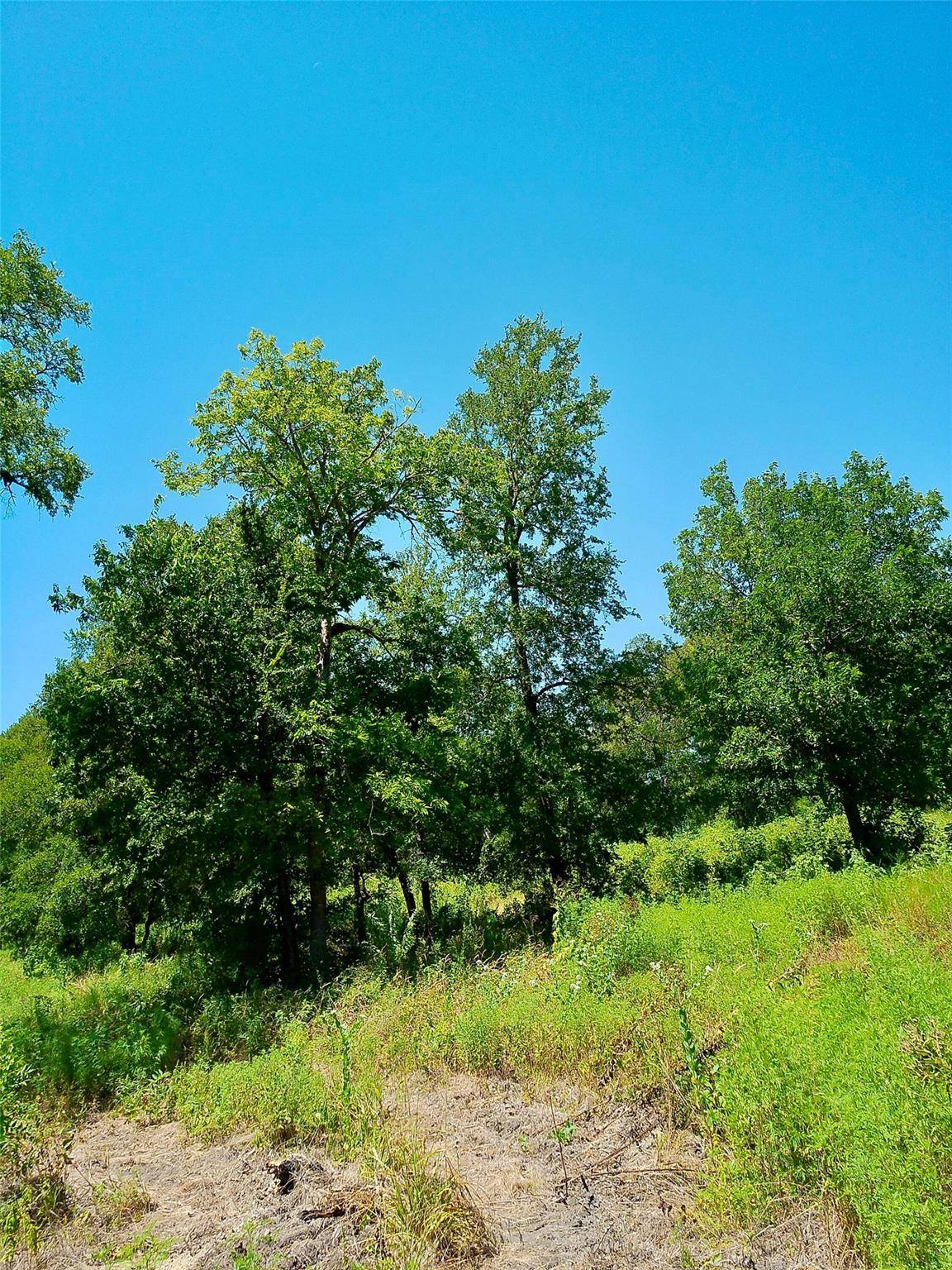 Lot 22 Serenity DR, Bertram, TX 78605