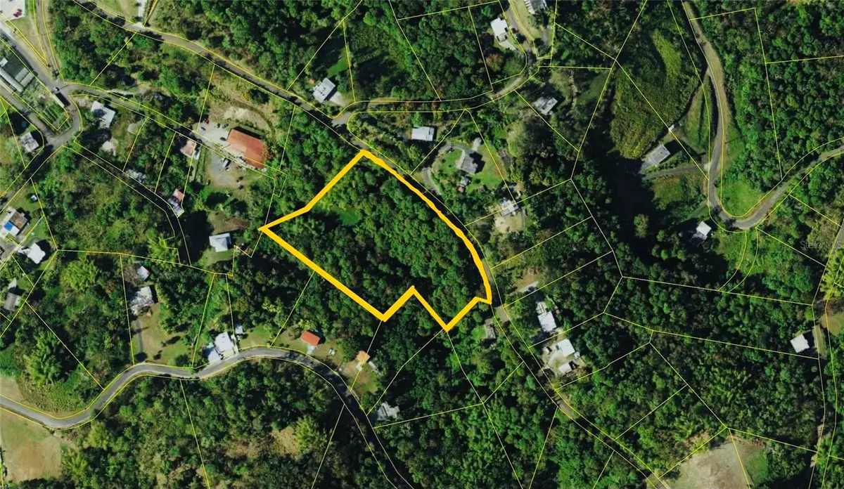 23 CAMPIÑAS, Juncos, PR 00777