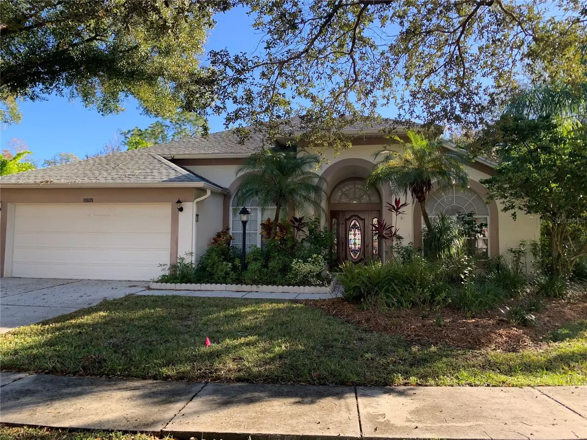 10609 CHAMBERS DR, Tampa, FL 33626