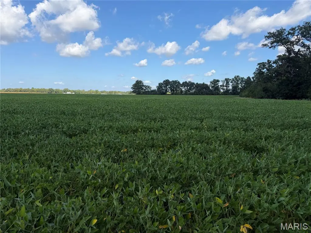 000 Oak Grove, Alma, IL 62807