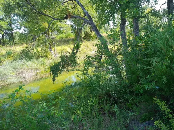 Lot 22 Serenity DR, Bertram, TX 78605