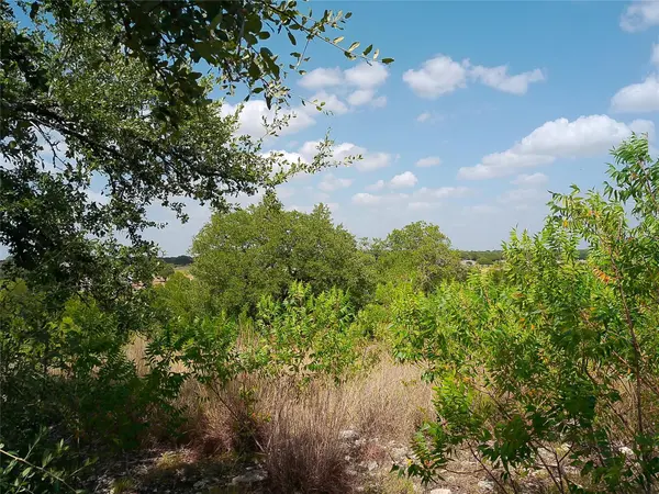 Lot 22 Serenity DR, Bertram, TX 78605