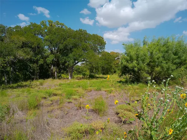 Lot 29 Serenity DR, Bertram, TX 78605