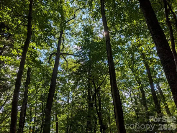 0 Raspberry None, Spring Creek, NC 28743