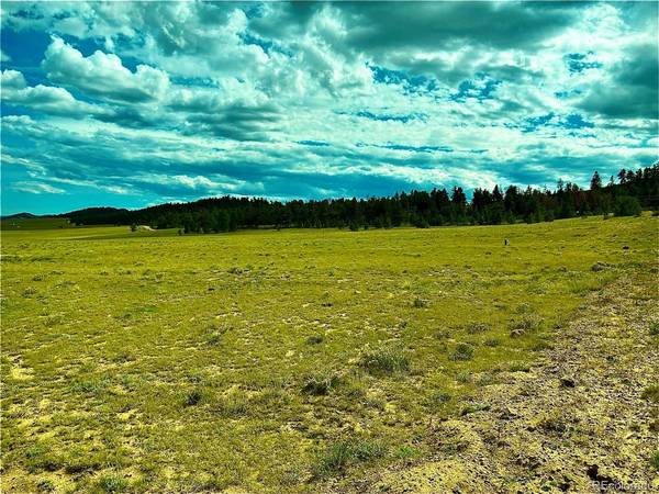 3984 Elkhorn, Hartsel, CO 80449