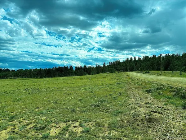 3984 Elkhorn, Hartsel, CO 80449