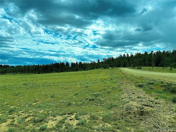 3984 Elkhorn, Hartsel, CO 80449