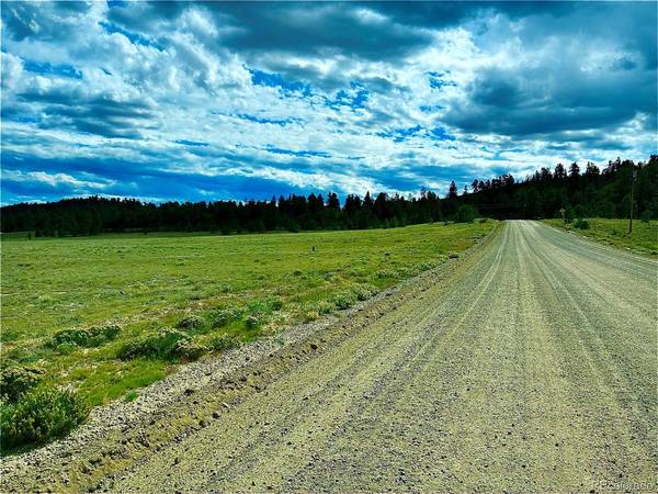 3984 Elkhorn, Hartsel, CO 80449