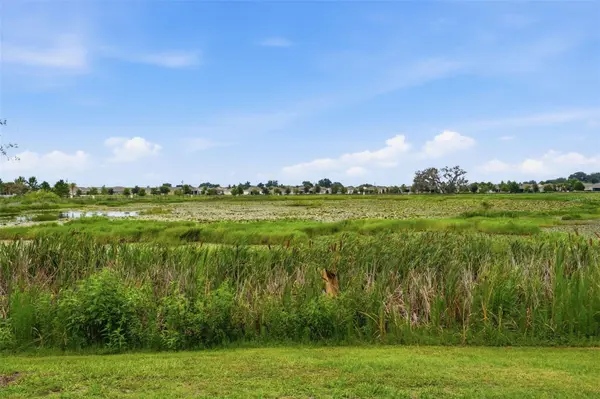 5238 DRAGONFLY DR, Wildwood, FL 34785
