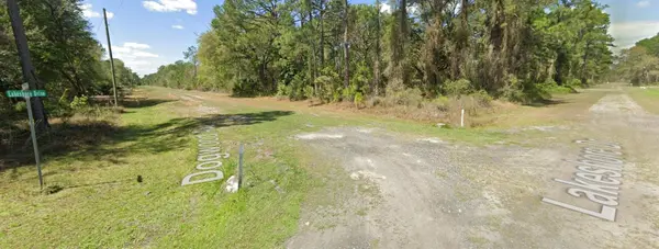 423 DOGWOOD AVE, Georgetown, FL 32139