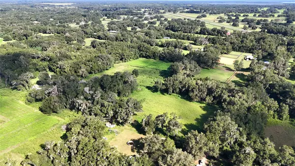 3475 NW 157TH PL, Reddick, FL 32686