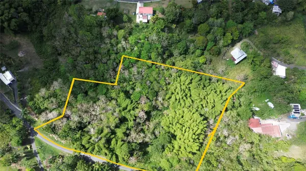 23 CAMPIÑAS, Juncos, PR 00777
