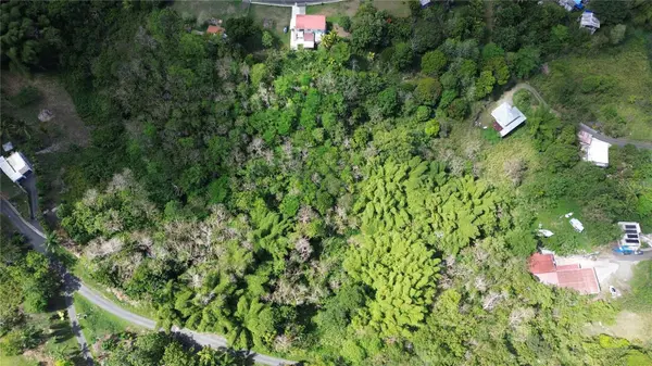 23 CAMPIÑAS, Juncos, PR 00777