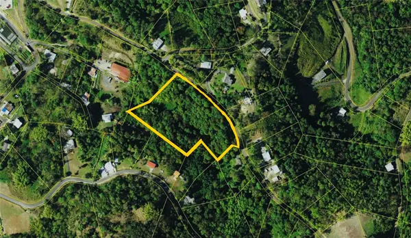 23 CAMPIÑAS, Juncos, PR 00777