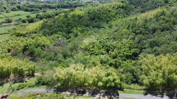 30 CAMPIÑAS, Juncos, PR 00777