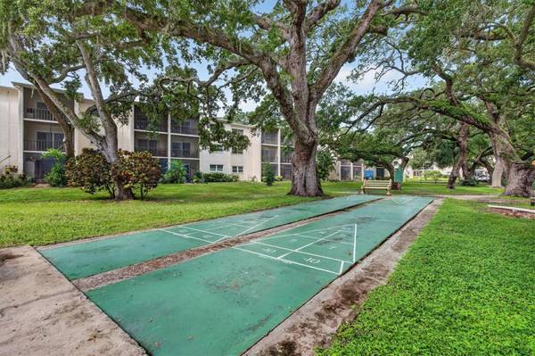 820 VIRGINIA ST #104, Dunedin, FL, 34698 photo 40