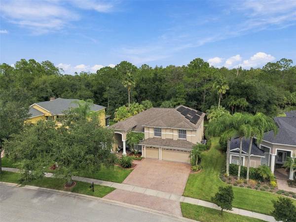 17323 EMERALD CHASE DR, Tampa, FL, 33647 photo 88