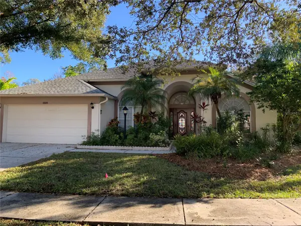 10609 CHAMBERS DR, Tampa, FL 33626
